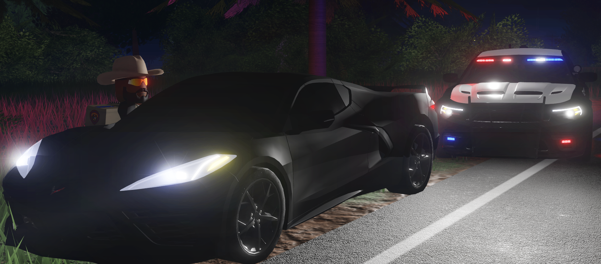 Texas DPS trooper beside a stopped sports car at night.